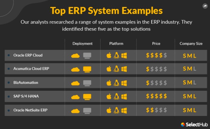 ERP System Examples 2024 | Examples Of ERP Software