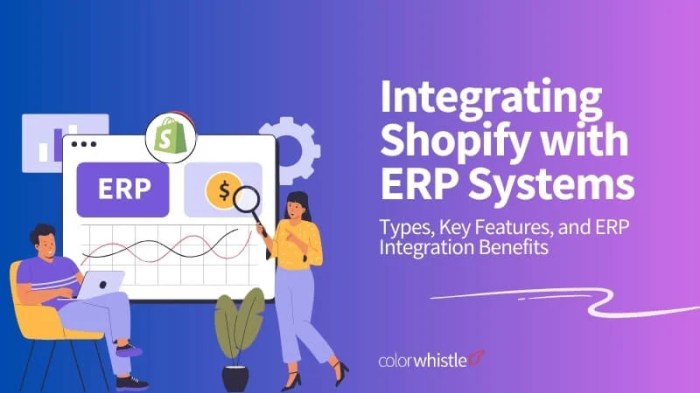 Shopify ERP Integration - Streamline Your E-commerce