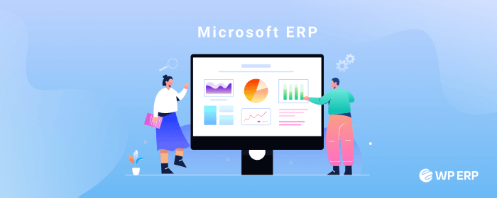 Introducing Popular Microsoft Dynamics ERP For Your Business