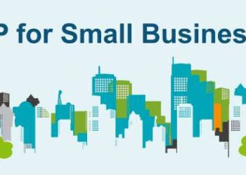 Everything About ERP for Small Business (SME)