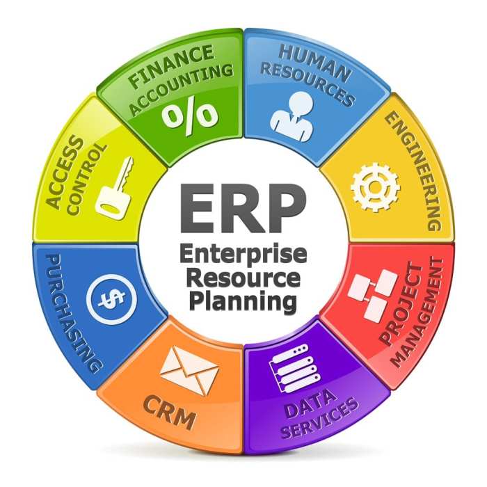 Assembling an ERP Platform with Best of Breed Applications Assembling an ERP Platform with Best of Breed Applications