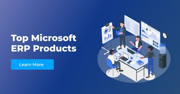Explore Microsoft ERP Products: Finding the Perfect Fit for Your Business