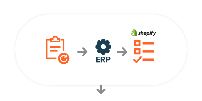 ERP and Shopify Integration | CRM Masters Blog